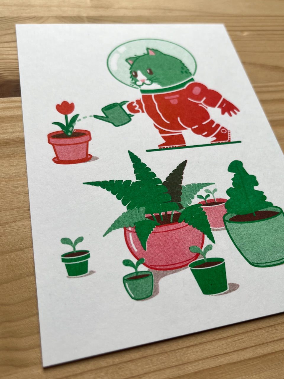 Astrocat geeft de planten water